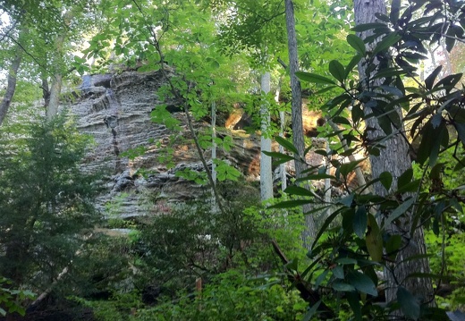 Auxier Ridge, a year after the fire